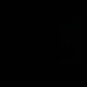 Meet your Posher, June